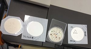 高質(zhì)量Explorer天平3.jpg
